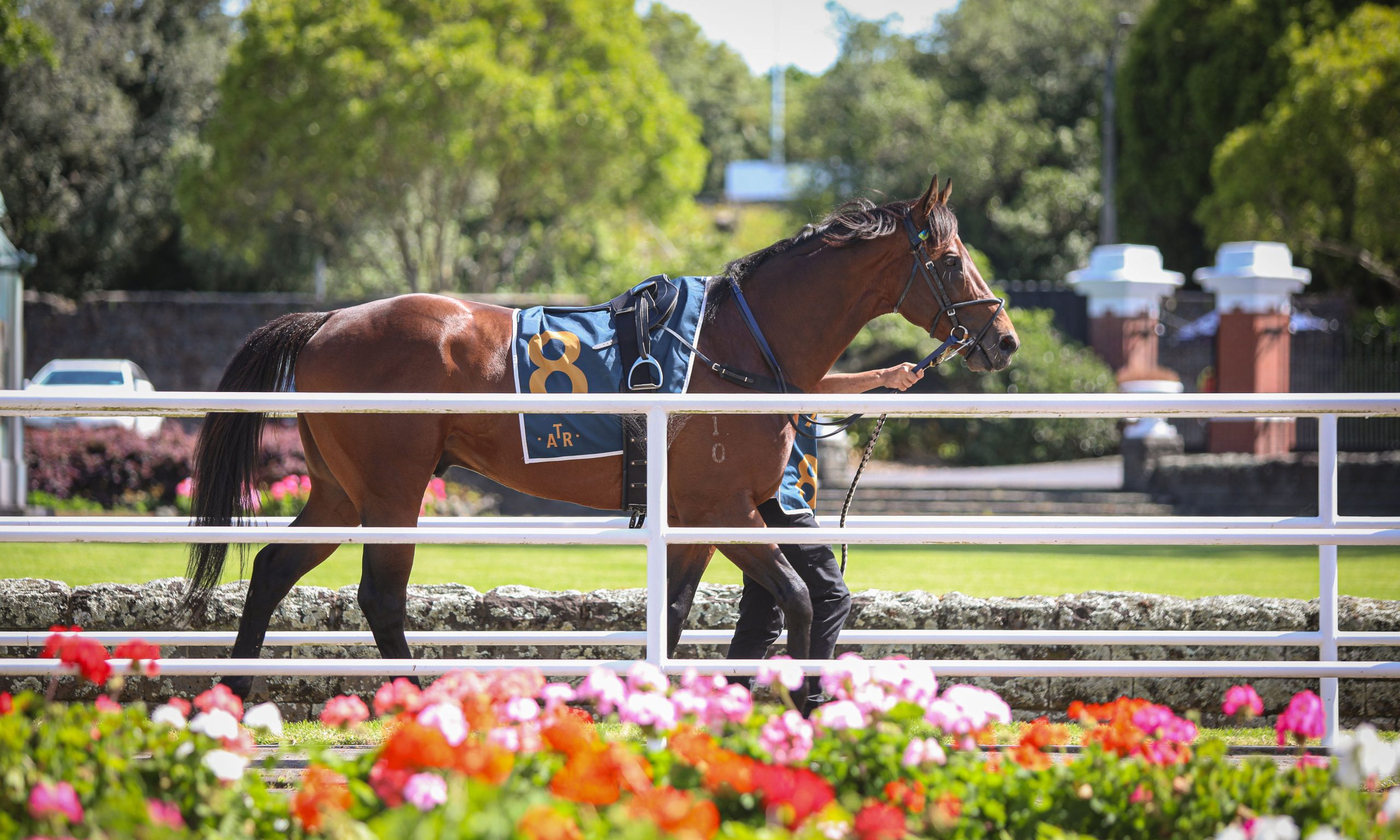 Everest Raceday 2026
