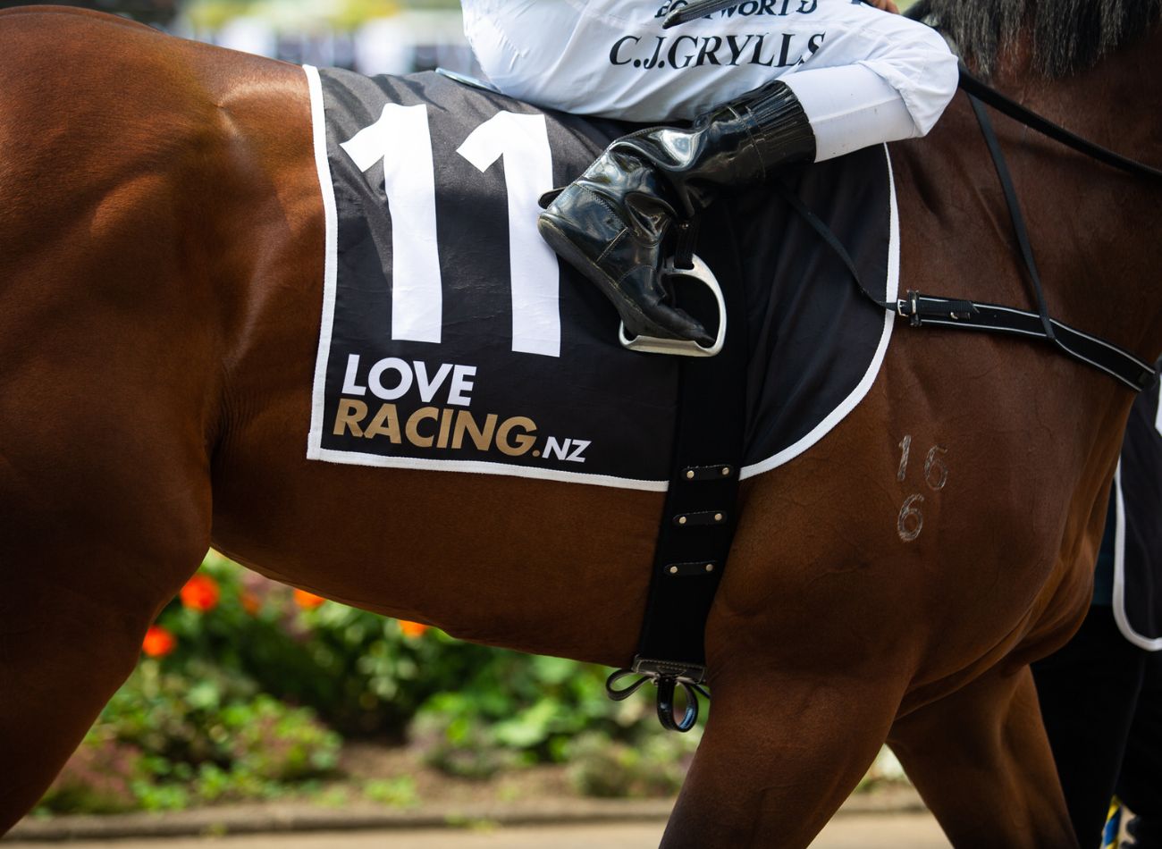 NEWS | New Middle-Distance Bonus Series to take Centre Stage this New Zealand Summer