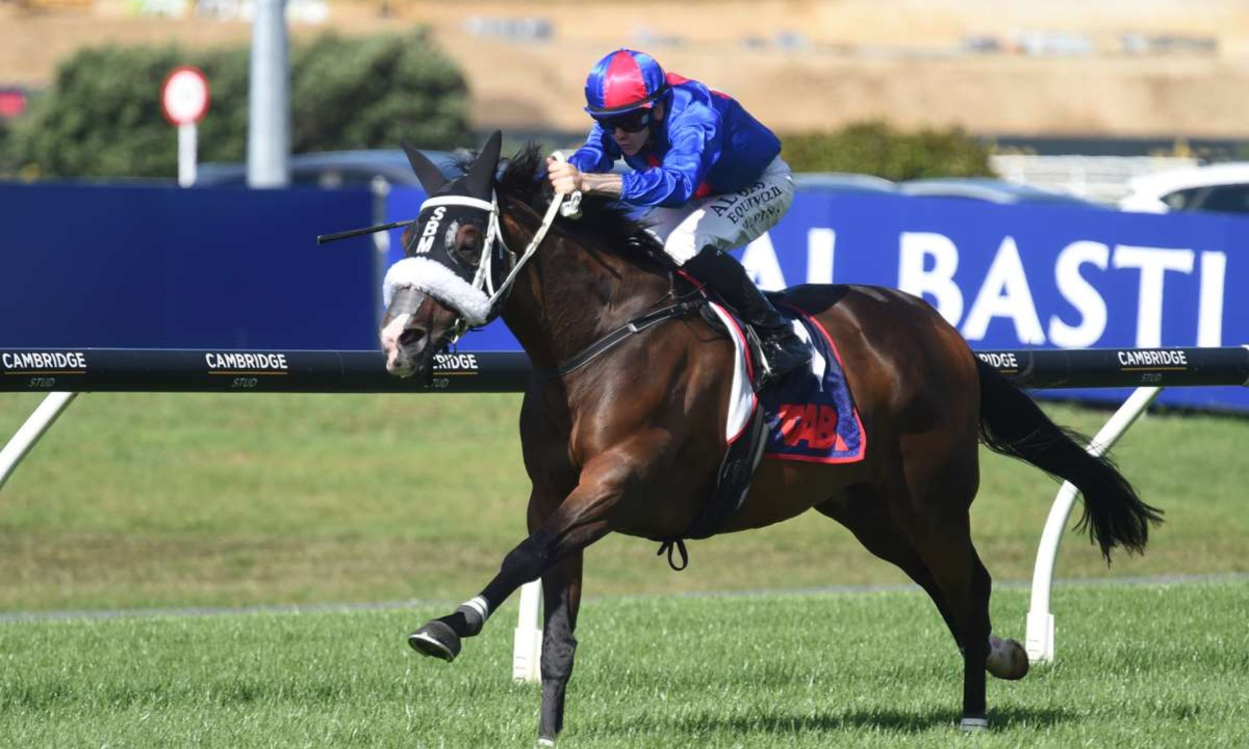 Eagle Technology Avondale Cup & Guineas Day