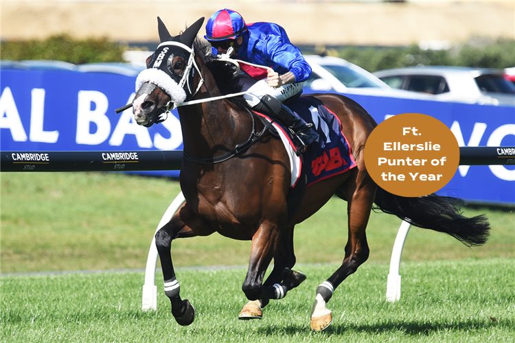 Eagle Technology Raceday