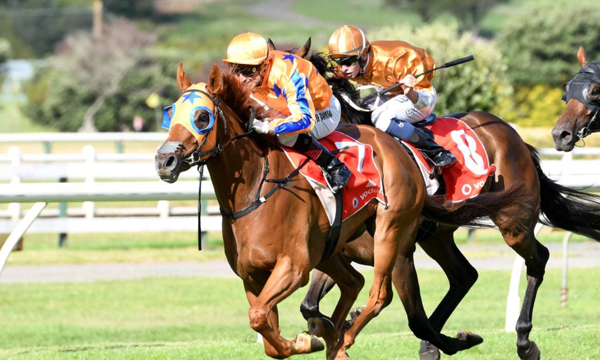 Gingernuts Salver Raceday