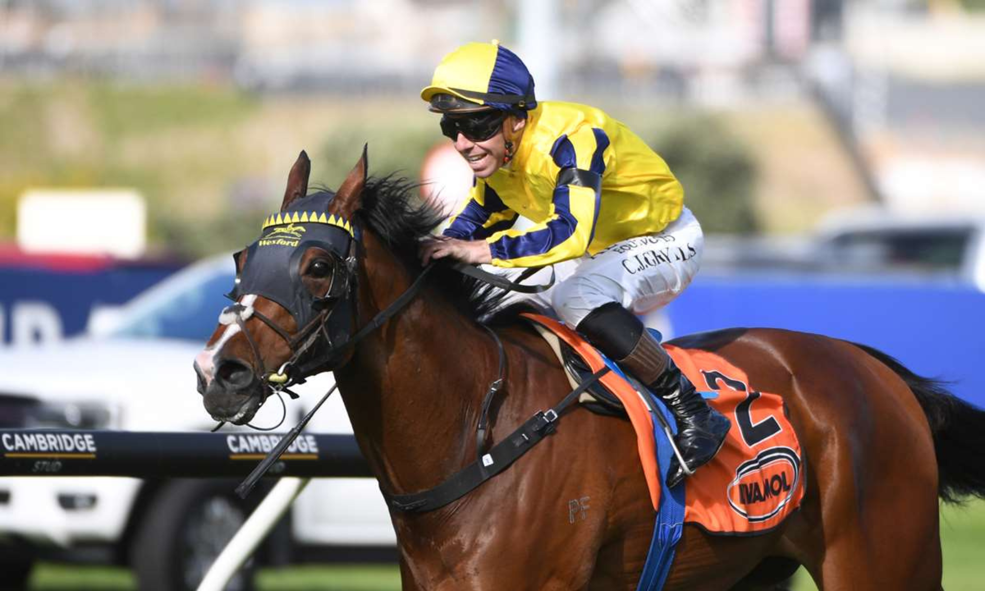 Windsor Park Stud Soliloquy Stakes Day