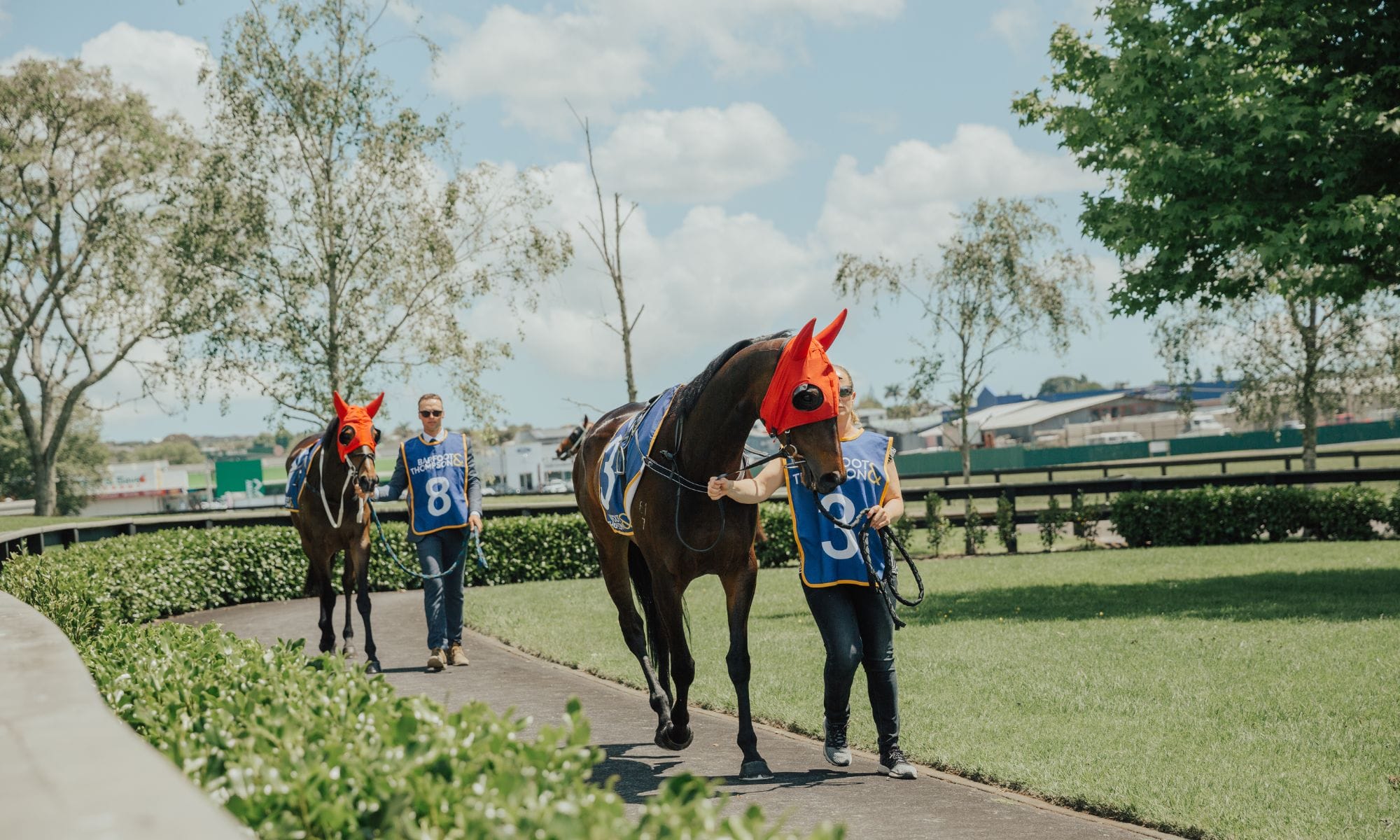 Christmas Raceday