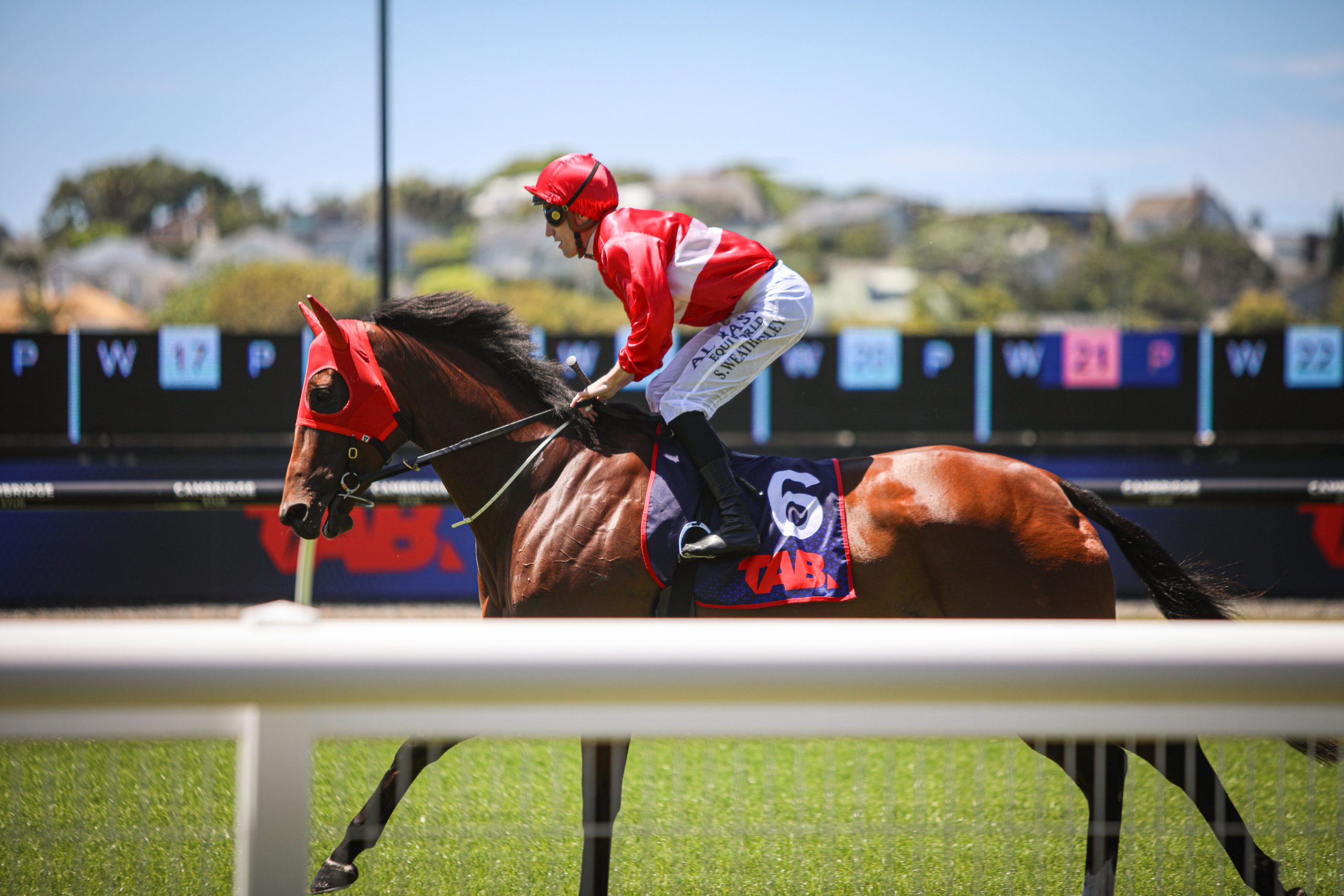 Cox Plate Raceday 2026
