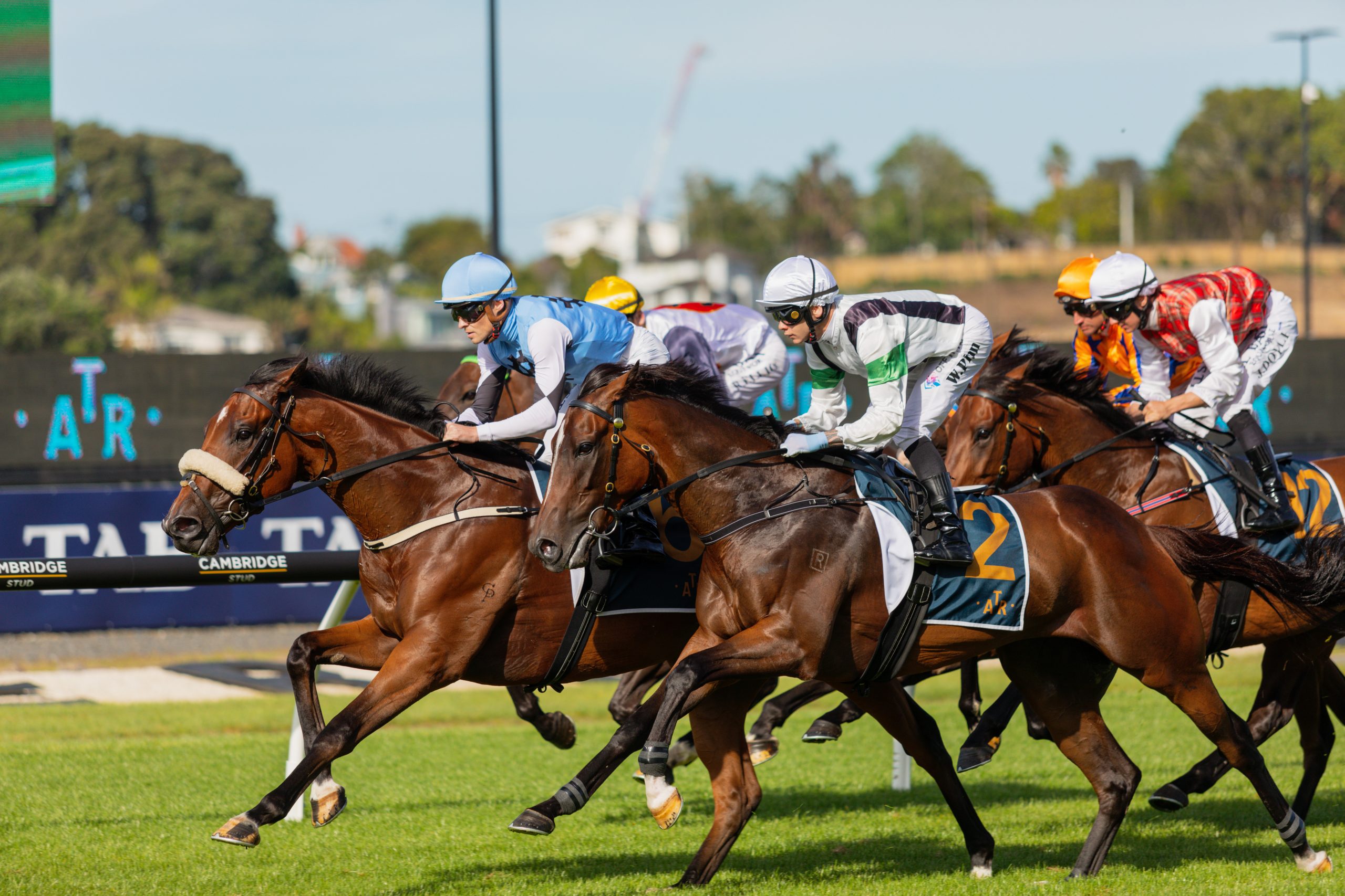 Eagle Technology Raceday