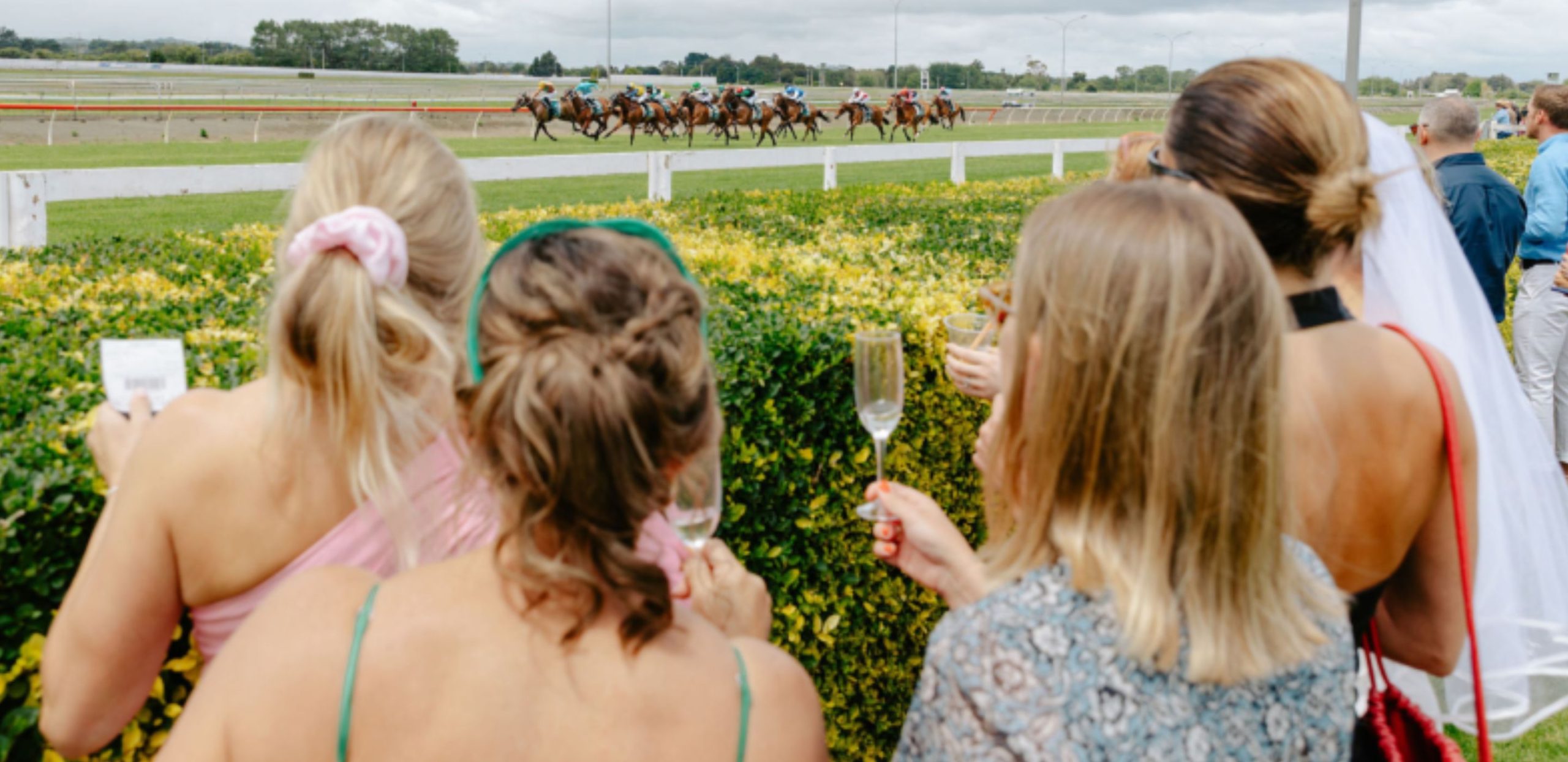 TAB Counties Cup Day