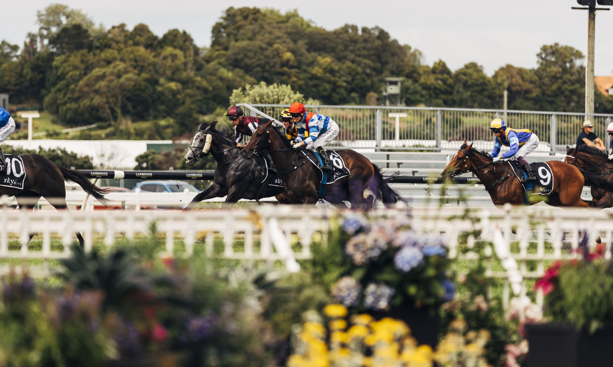 Summer Raceday