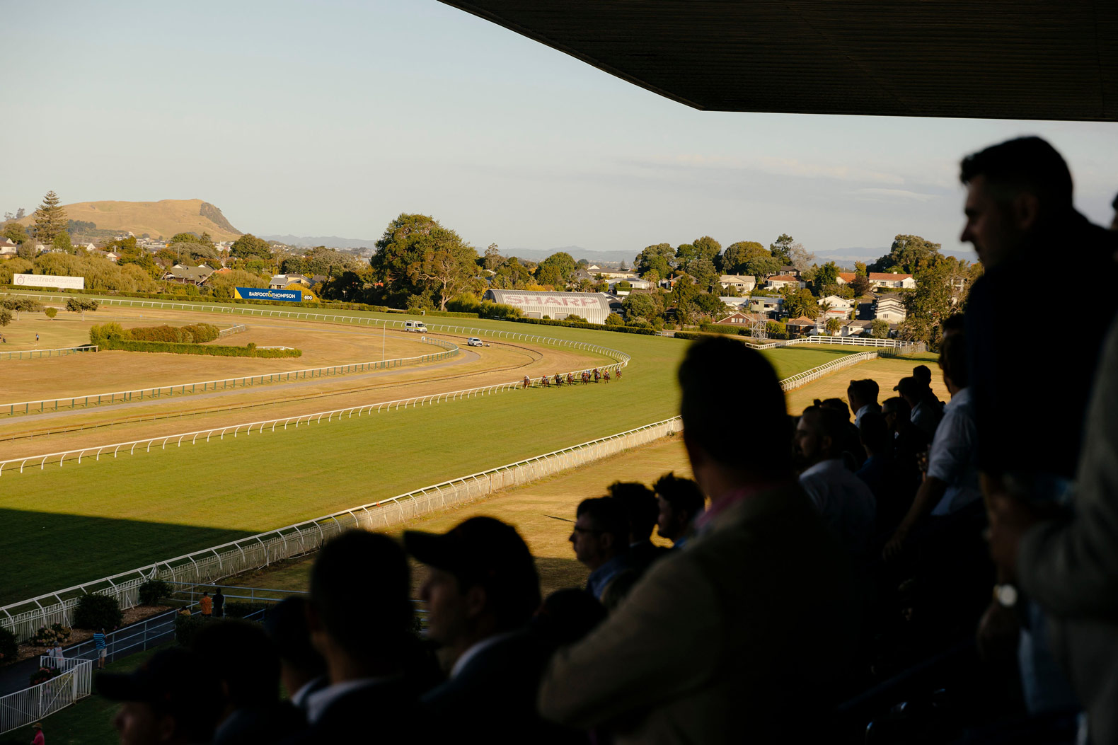 NEWS | Entain and Auckland Thoroughbred Racing embrace new partnership