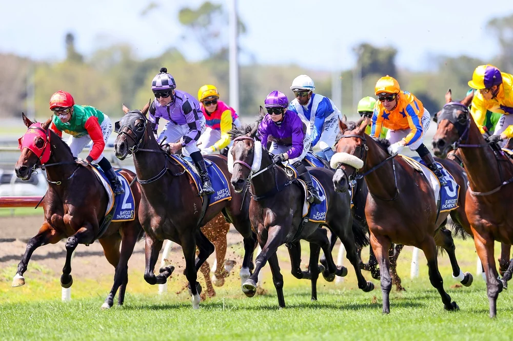 TRACKCHAT: Melbourne Cup Day – Tuesday 7th November 2023
