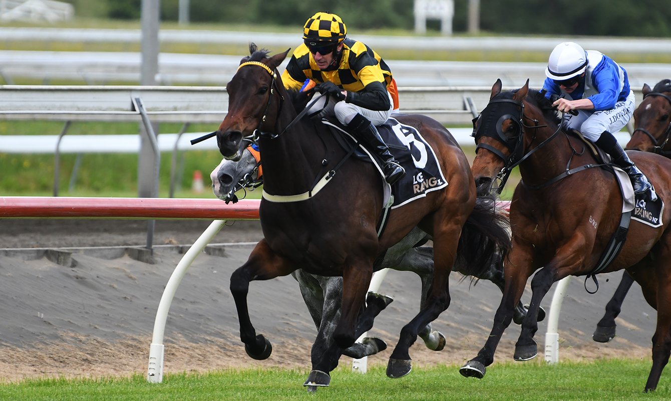 Stud’s racing stable dominates at Pukekohe