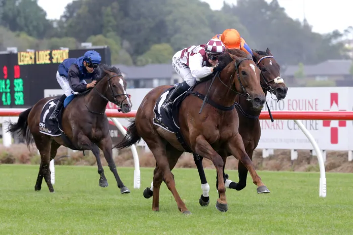 NEWS I Foote looking to cap successful week with Pukekohe win