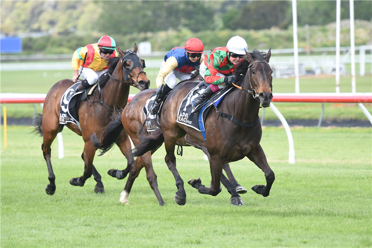 NEWS | Faraglioni ready for long-awaited stakes challenge