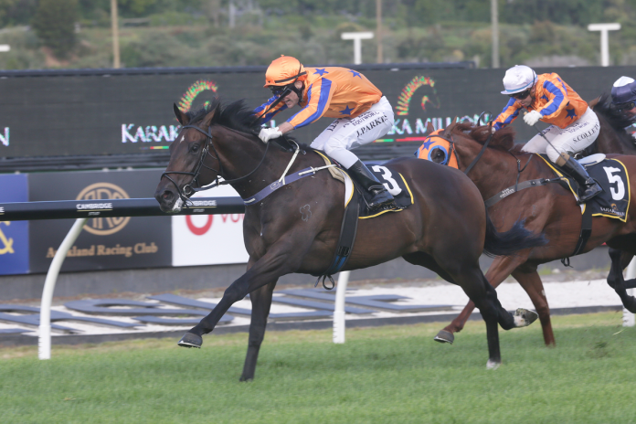 NEWS I Karaka Million winner retired