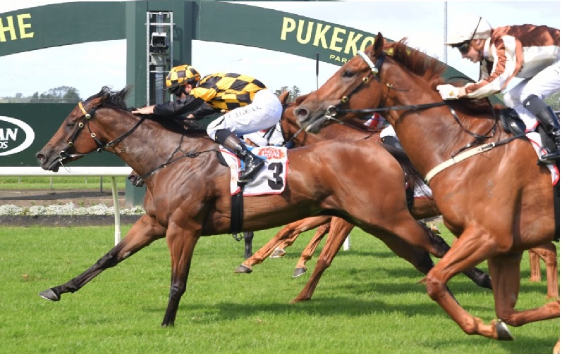 Flamebird gets strong win at Pukekohe