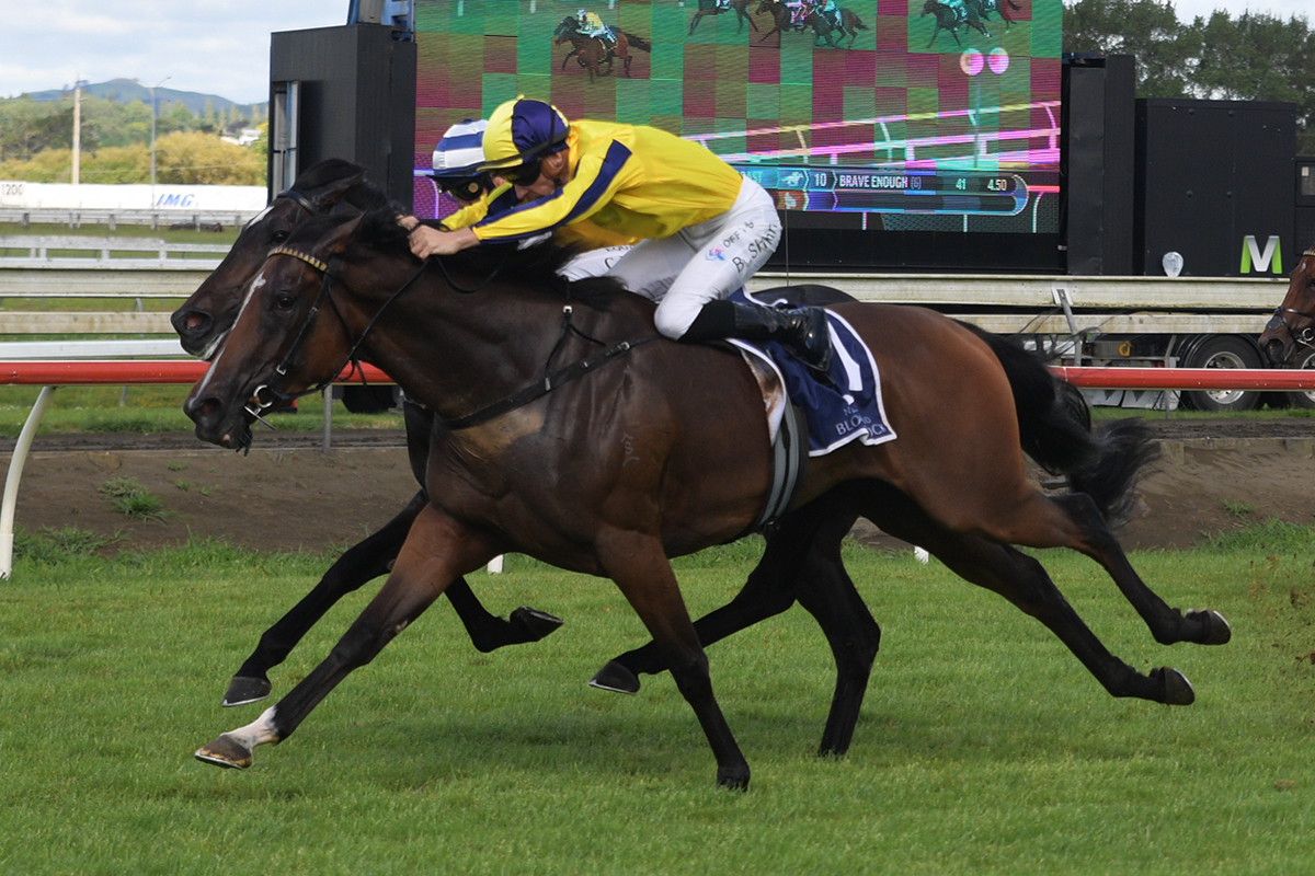 Jockey Comments – Group 2 Hallmark Stud Eight Carat Classic