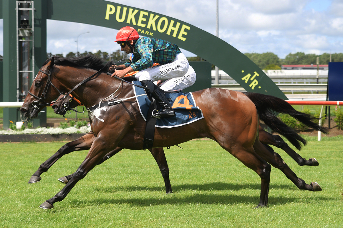 Jockey Comments – Group 2 Shaw’s Wire Ropes Auckland Guineas