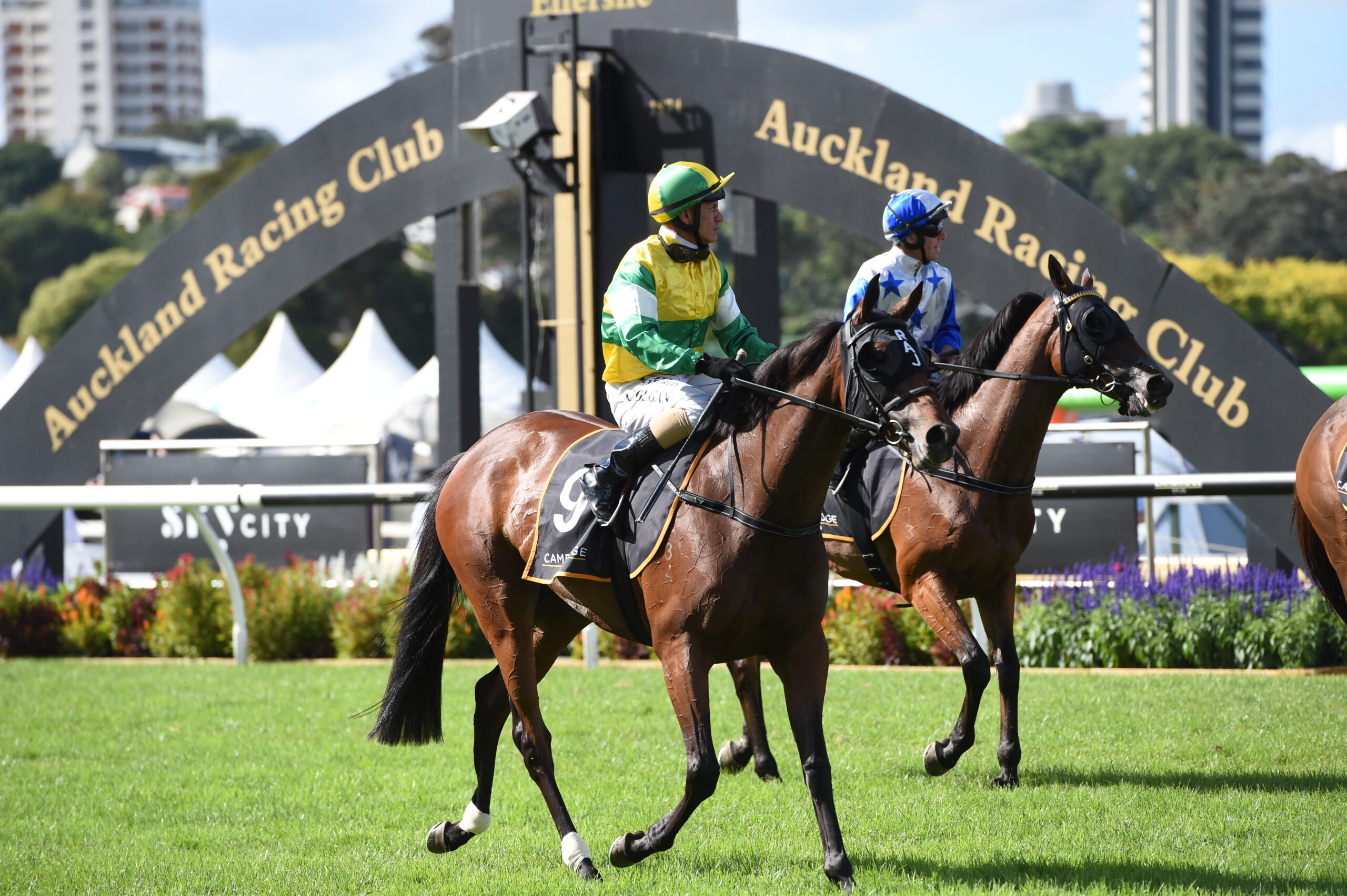 Name change from Auckland Racing Club Incorporated to Auckland Thoroughbred Racing Incorporated
