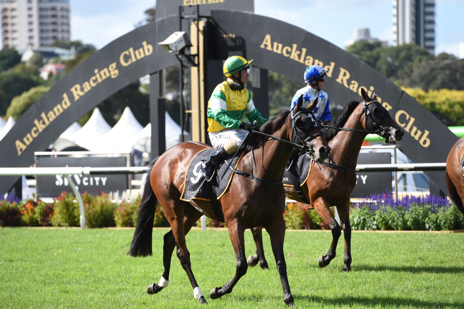 Boxng Day Races Celebrating the Boxing Day Races | A chat with Rob Wellwood, 26 years ...