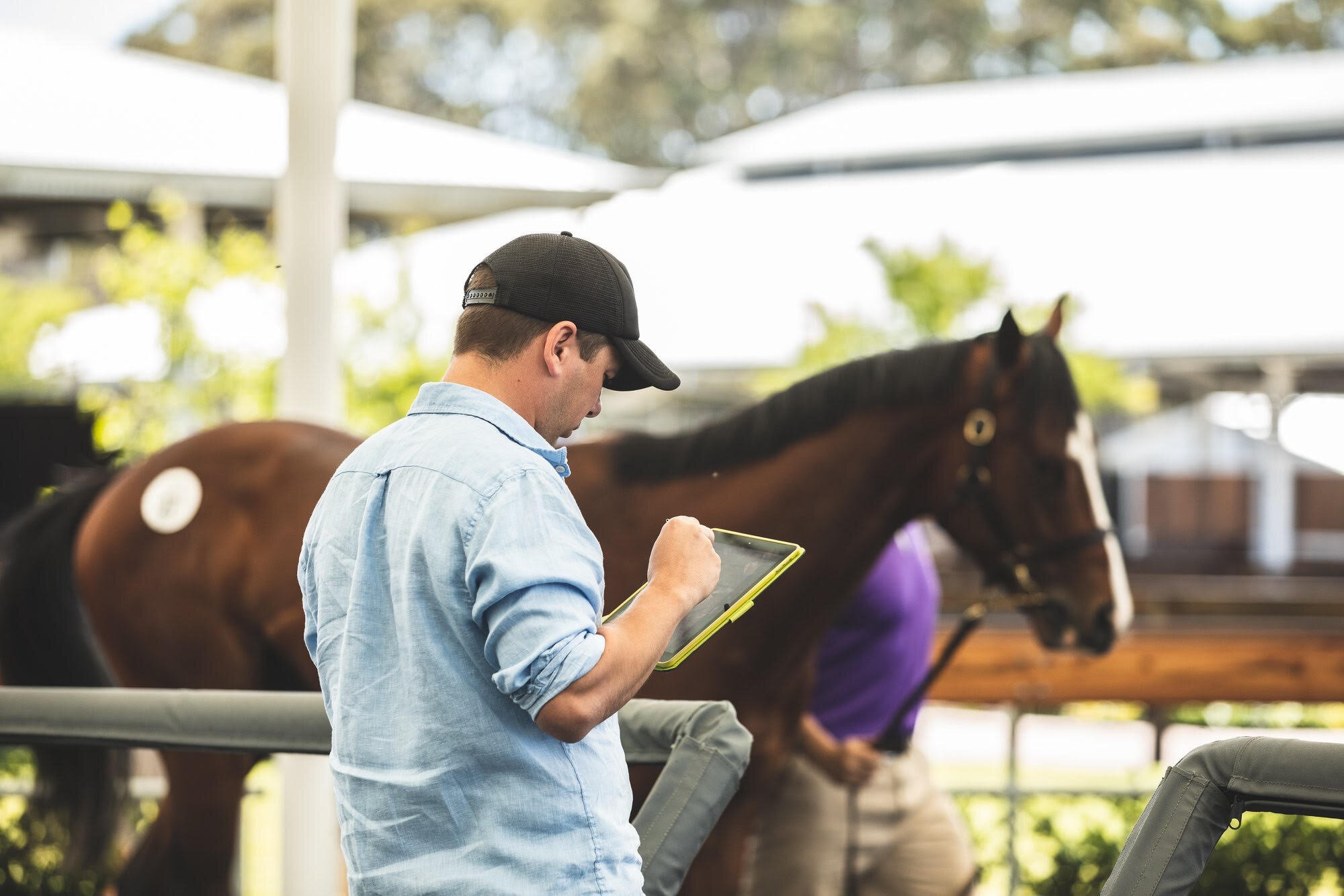 Celebrating the NZB Karaka Million | Bevan Smith and his million-dollar contender