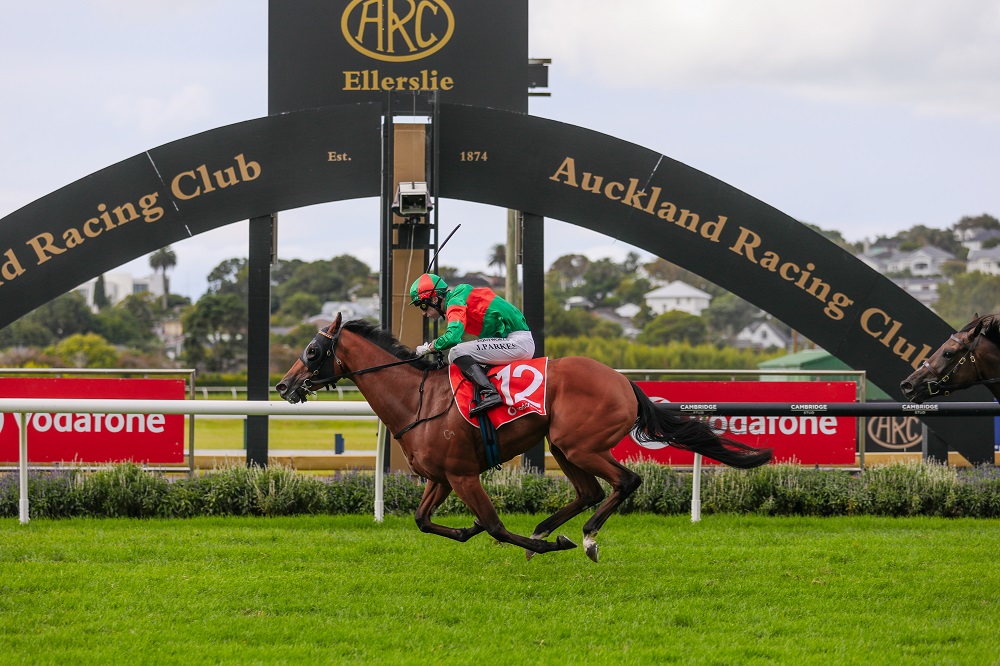 Celebrating Avondale Cup & Guineas Day | A deep dive into the Guineas vs the Derby