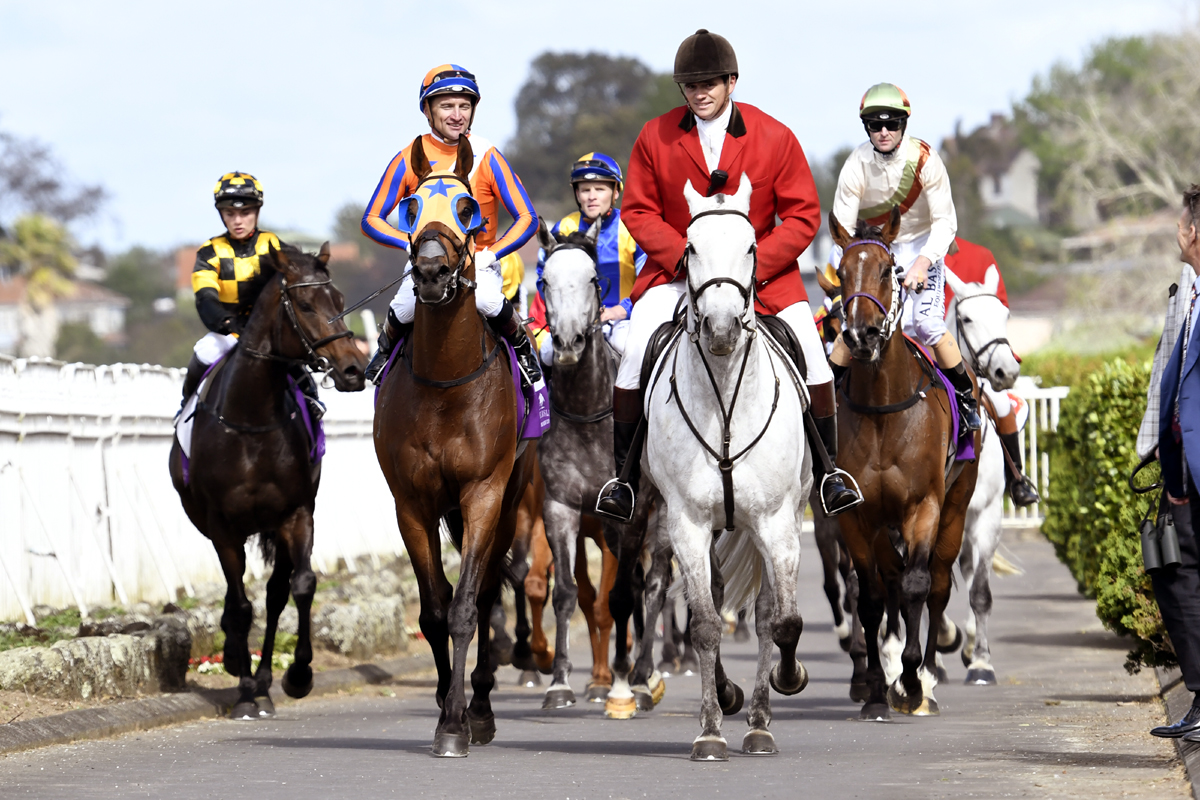 Did you know? | OMF Melbourne Cup Day