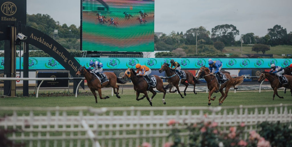 NEWS | Update on securing a sustainable future for horse racing in the Auckland region
