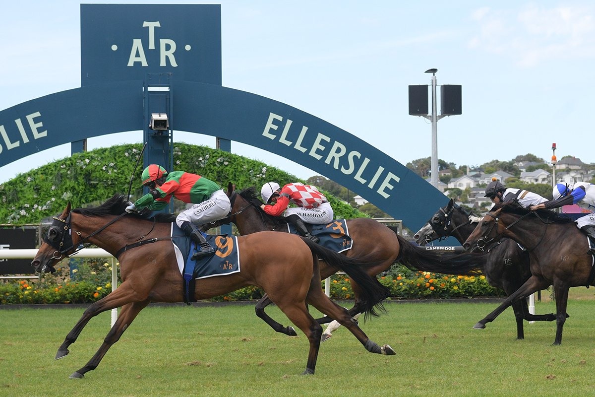 Jockey Comments – Group 2 Eagle Technology Avondale Cup