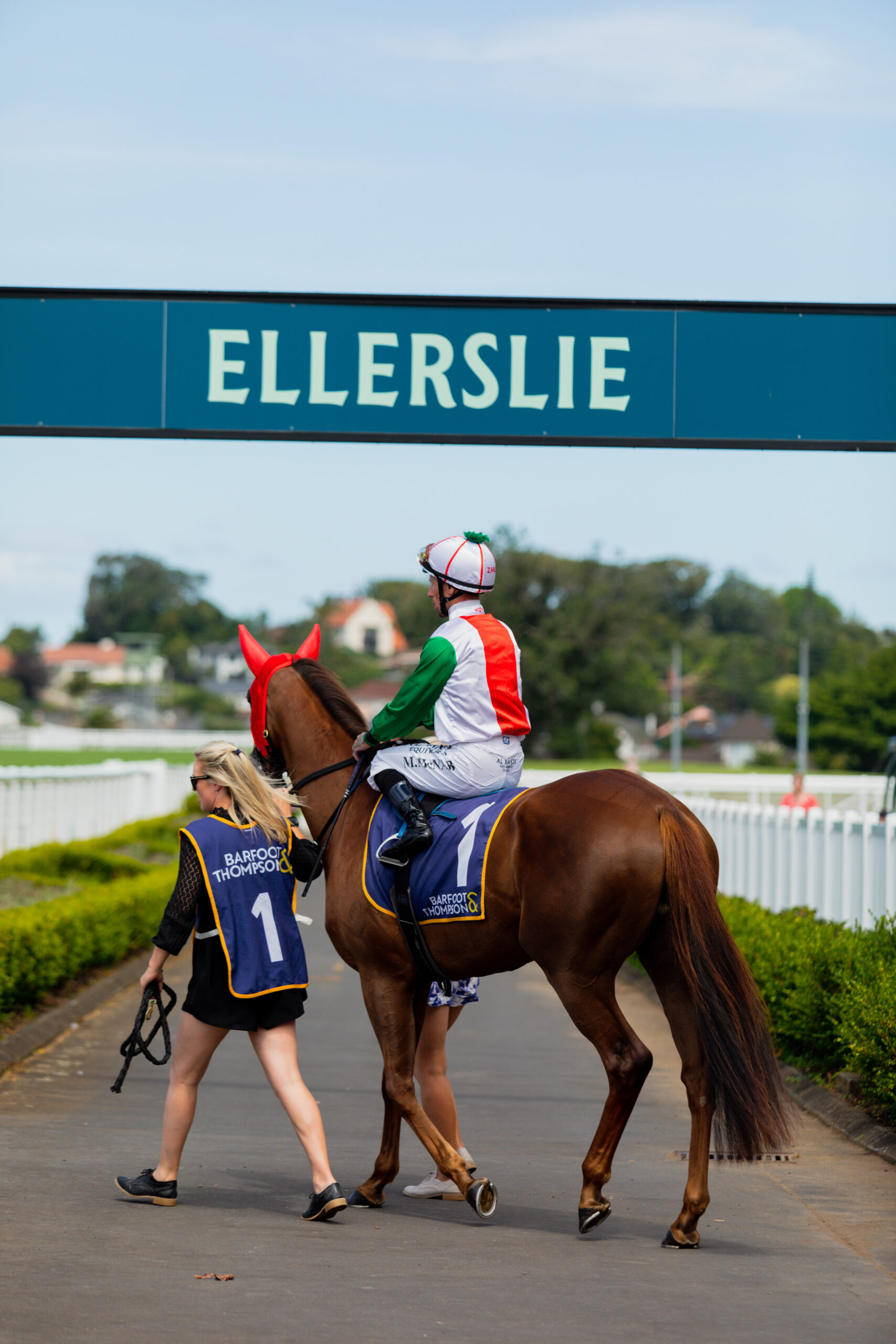 Media Release | Plan of action formulated following investigation into Ellerslie Racecourse meeting abandonment