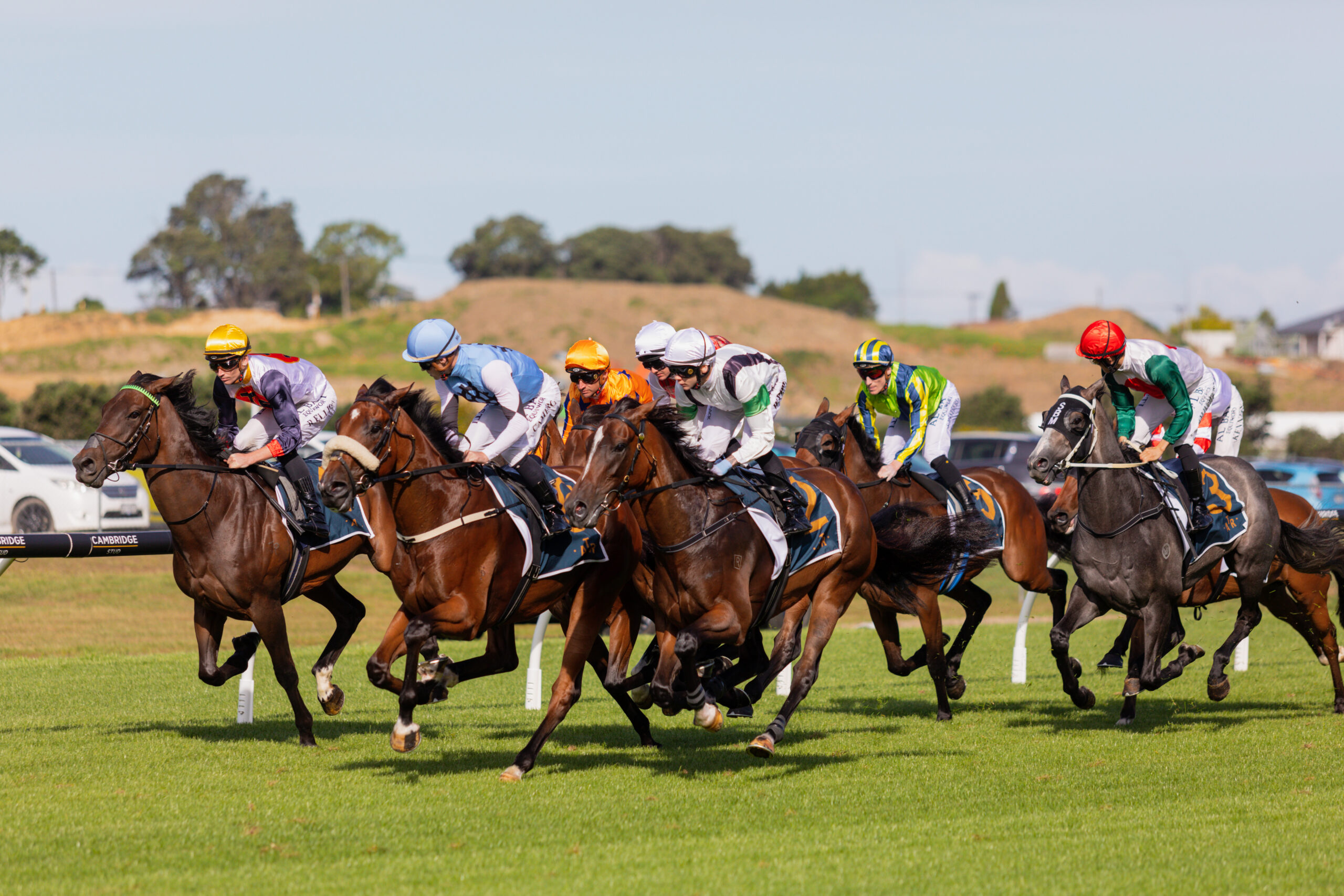 NZEA New Zealand Thoroughbred Breeders’ Stakes Day