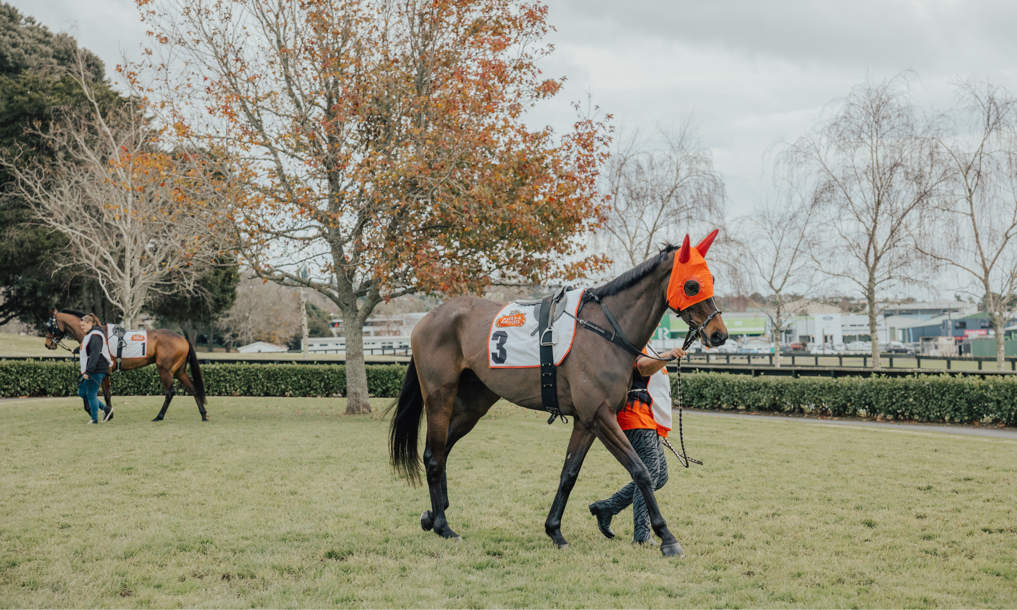 Champagne Stakes Day