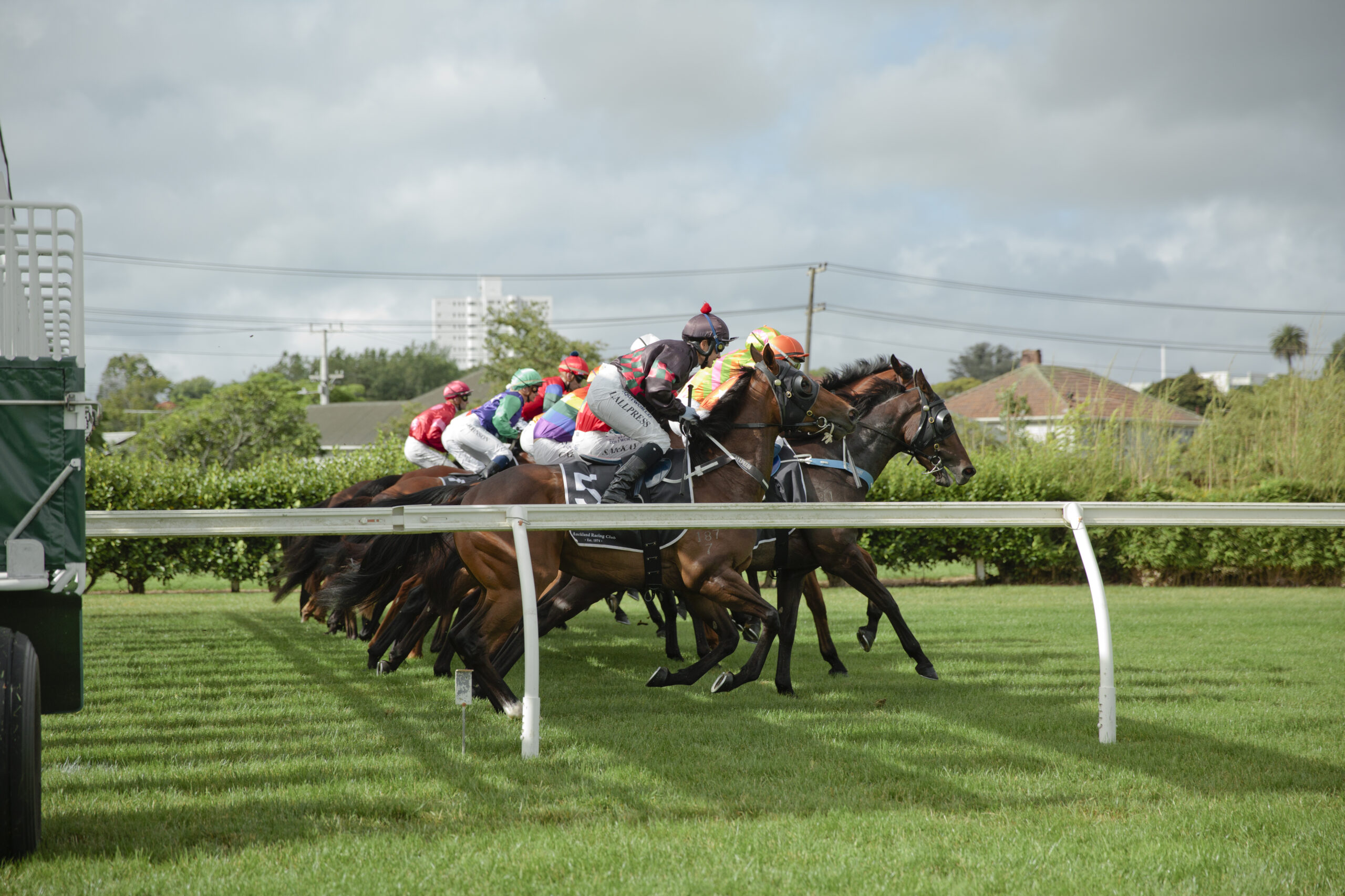 Media Release | May 25th ATR race meeting transferred to Pukekohe Park following Ellerslie’s abandonment on Saturday