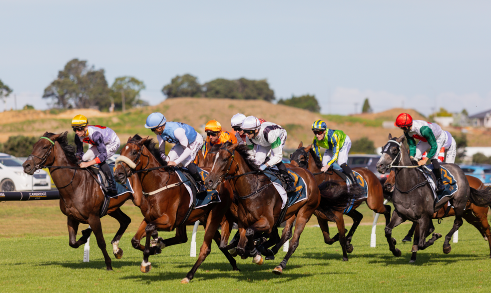 Cox Plate Raceday