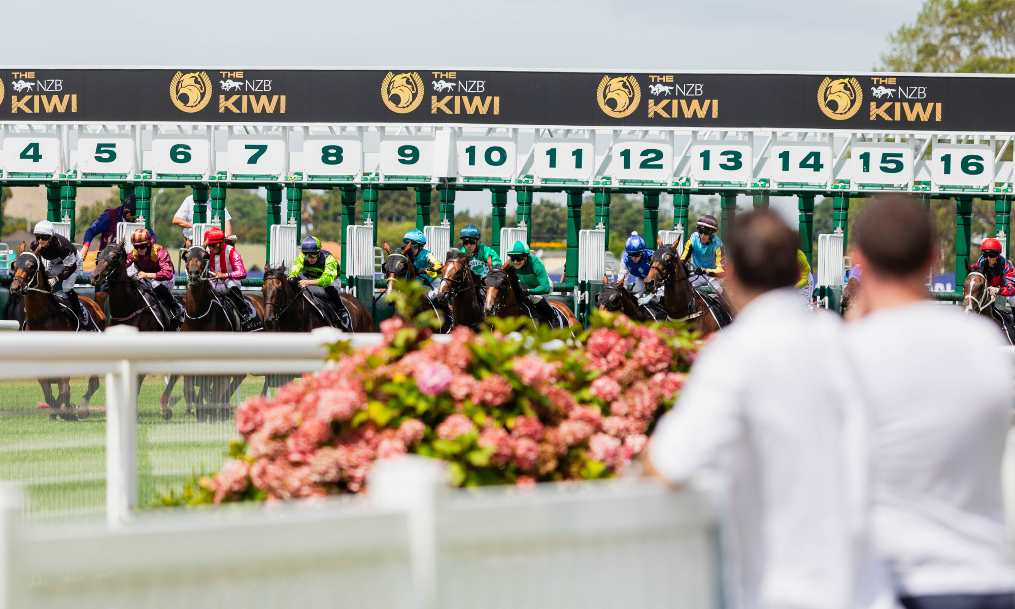 Summer Raceday