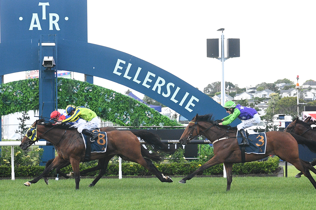 Jockey Comments – Group 2 Shaw’s Wire Ropes Auckland Guineas
