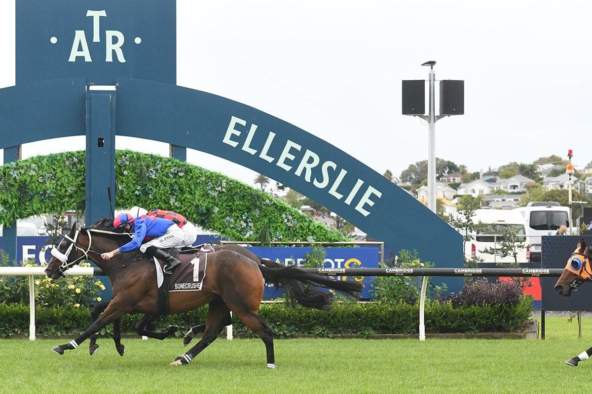 Jockey Comments Group 1 Bonecrusher New Zealand Stakes Auckland 