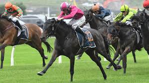 Where Legends Begin: The Story Behind the Trelawney Stud Championship Stakes
