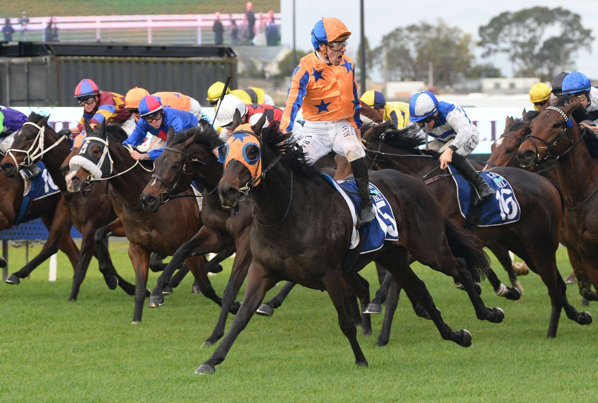Jockey Comments | Proisir Plate 2025
