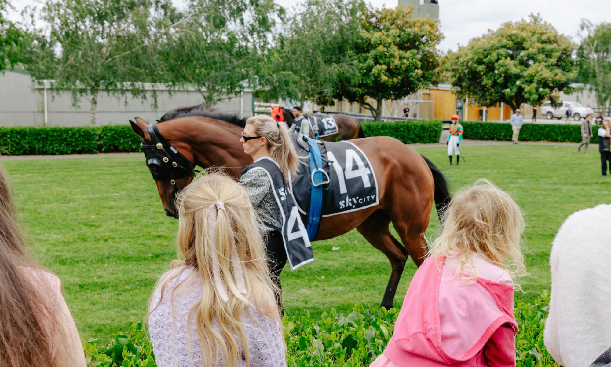 January Raceday Pukekohe