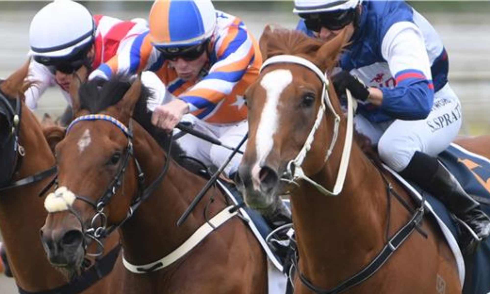 Bonecrusher Stakes Day