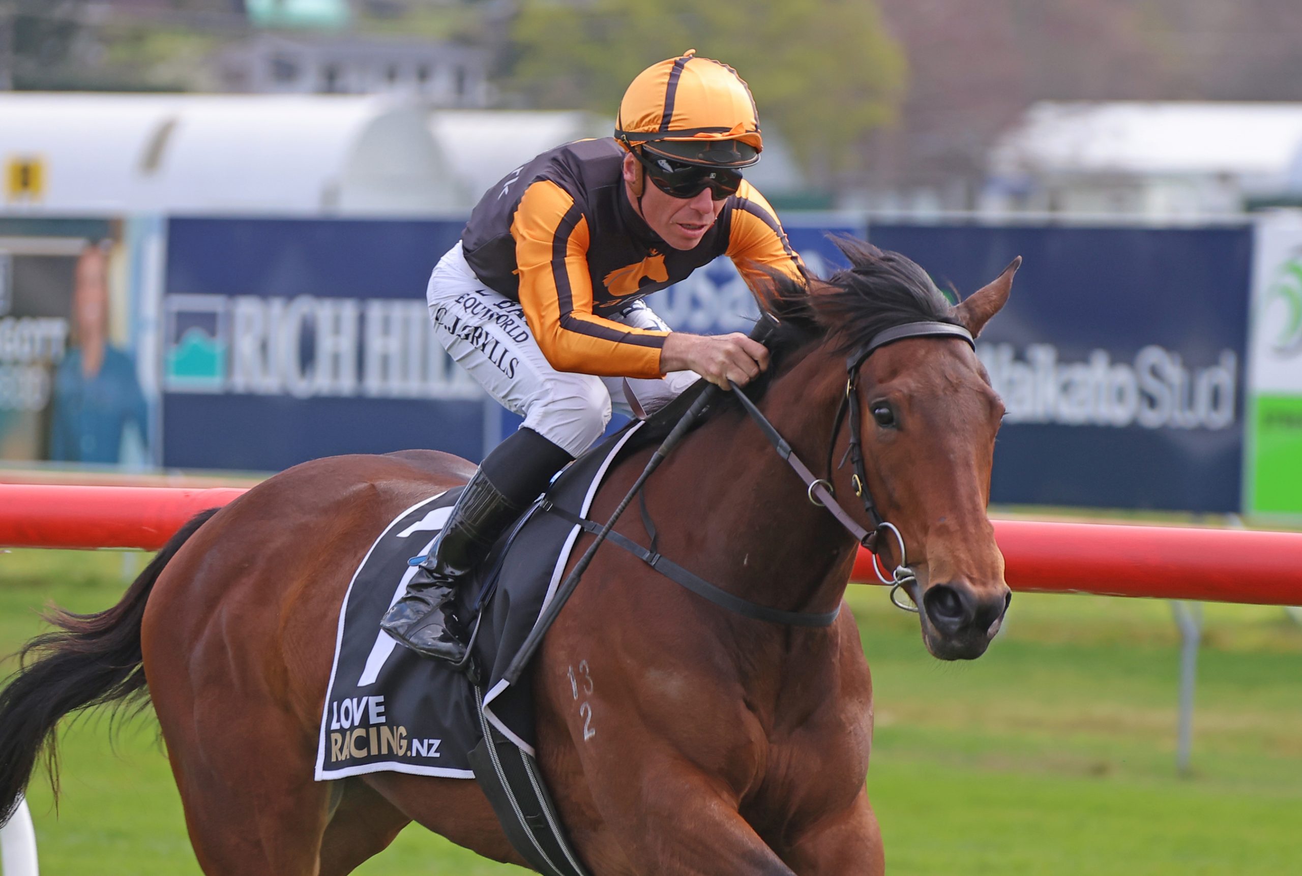 Windsor Park Stud Soliloquy Stakes | Promising filly taking Van Dyk places