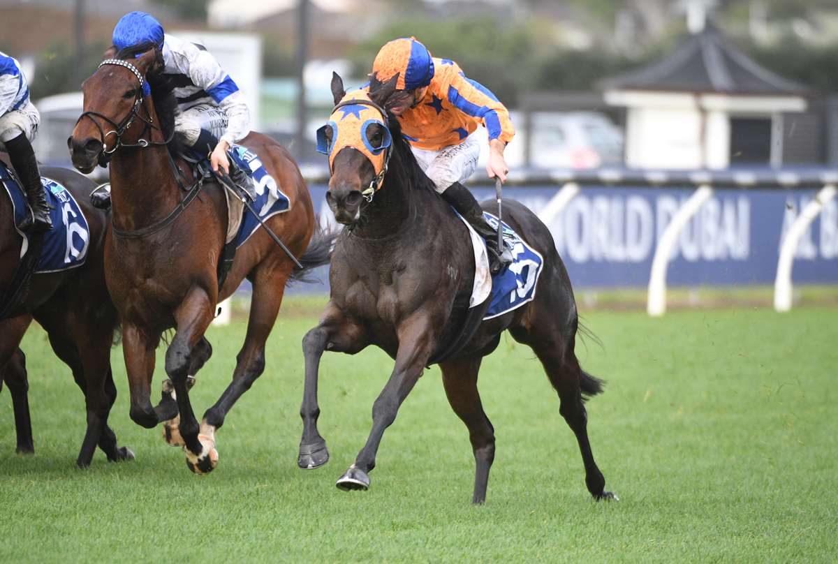 Livamol Classic | Stable hoping Quintessa can overcome less than ideal build-up