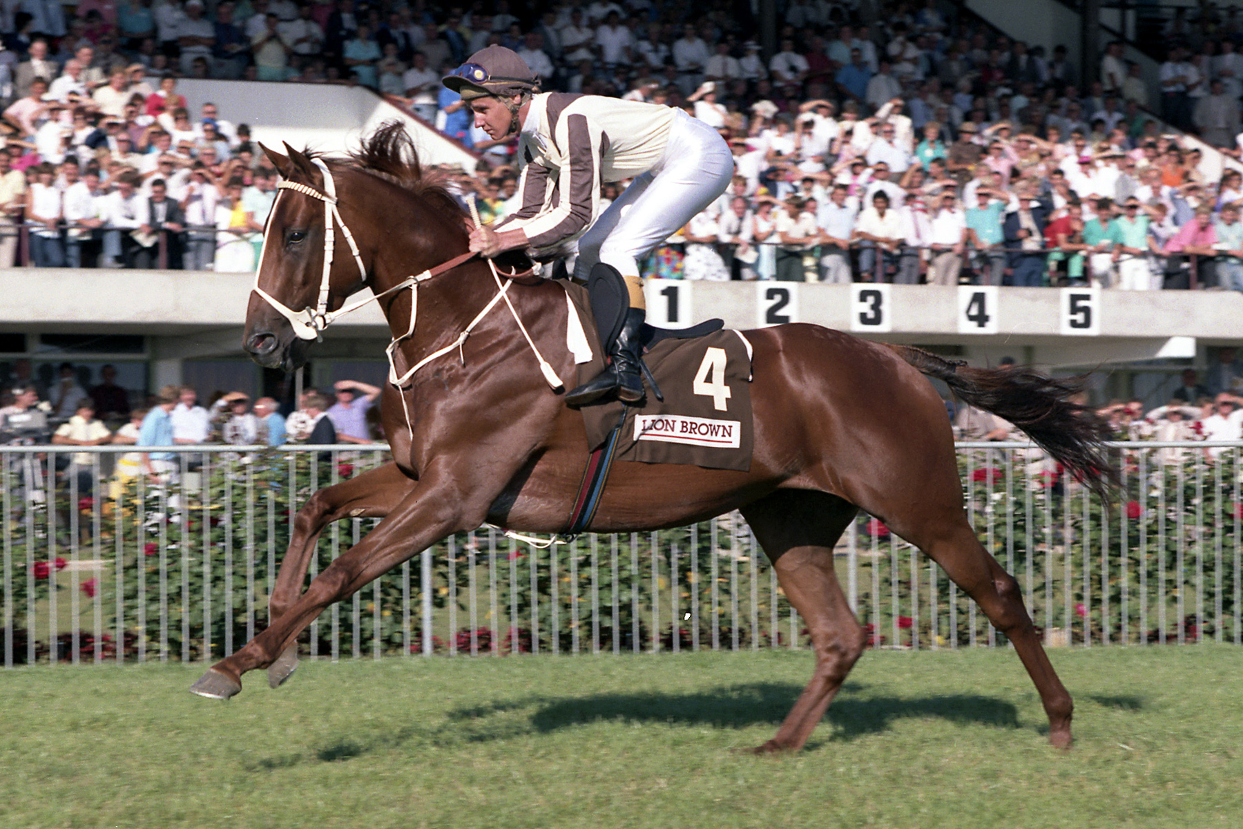 Remembering Bonecrusher the Great | Bonecrusher Stakes Day