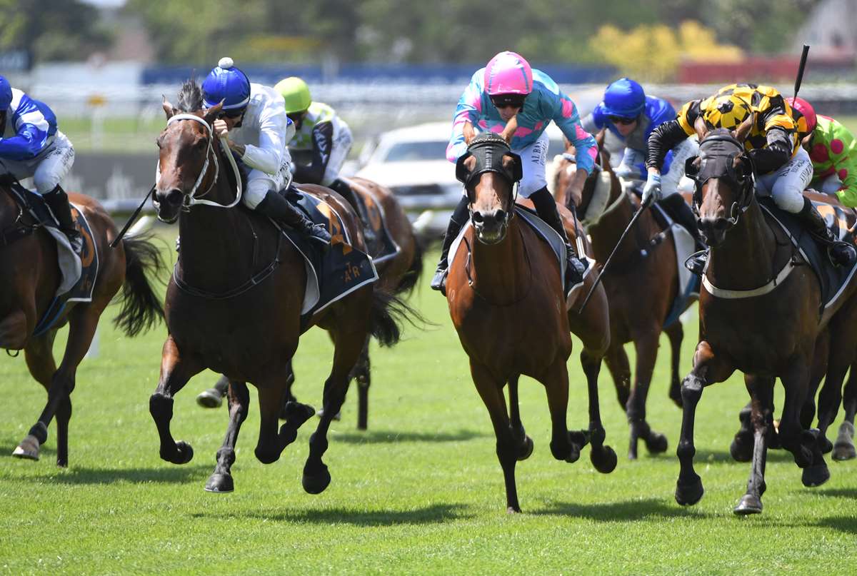 TAB Karaka Millions to honour racing trailblazer Jo Giles