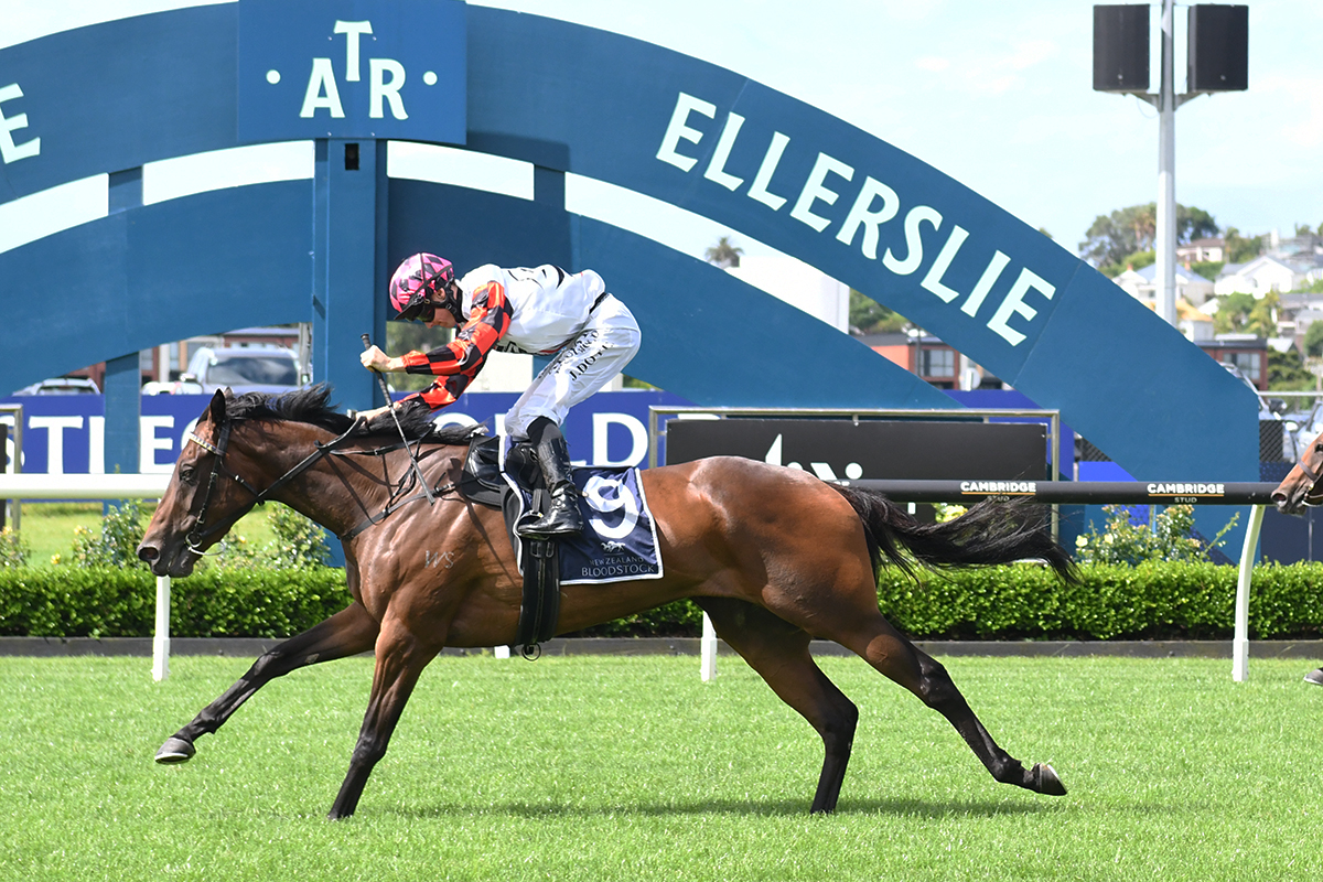 Jockey Comments | 2026 Sir Patrick Hogan Stakes