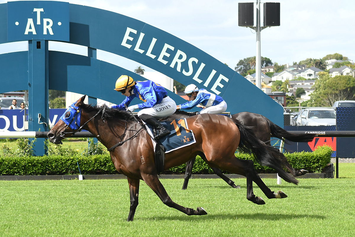 Jockey Comments | 2026 Queen Elizabeth II Cup