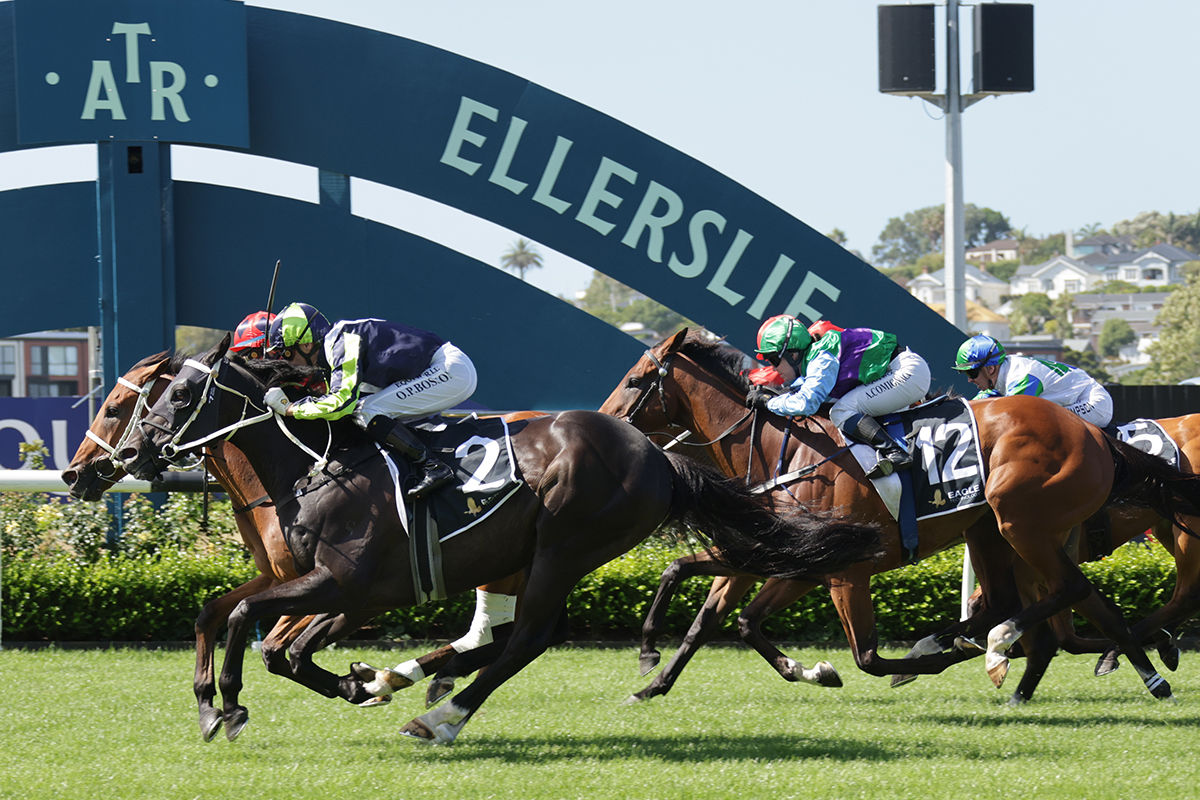 Jockey Comments | 2026 Eagle Technology Avondale Cup