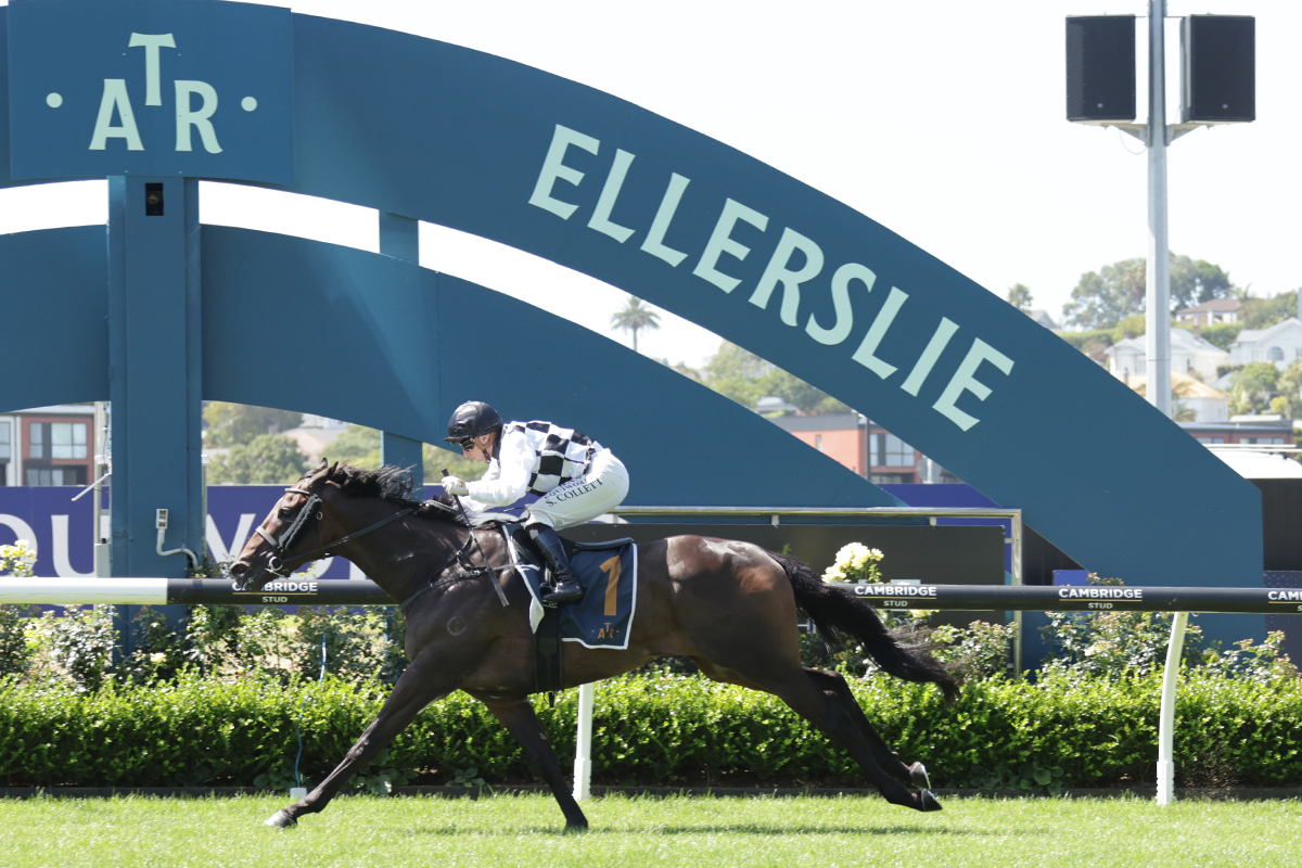 Jockey Comments | 2026 Eagle Technology Avondale Guineas