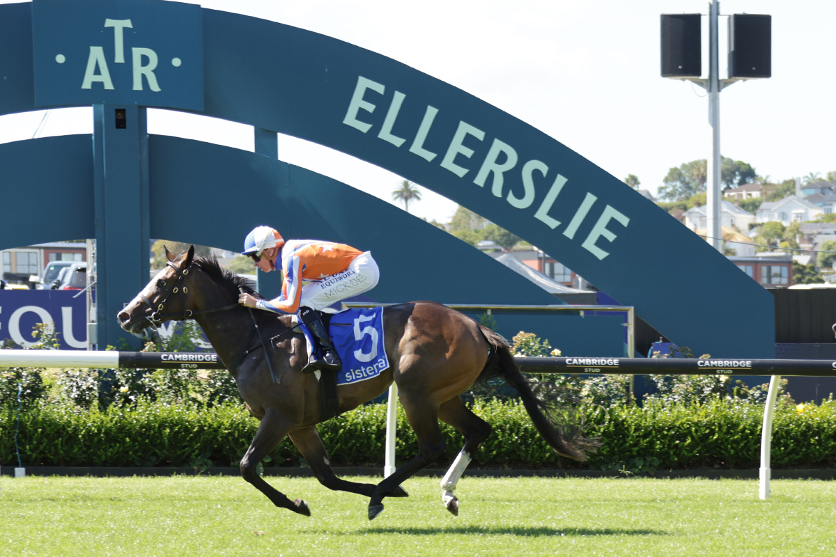 Jockey Comments | Sistema Stakes