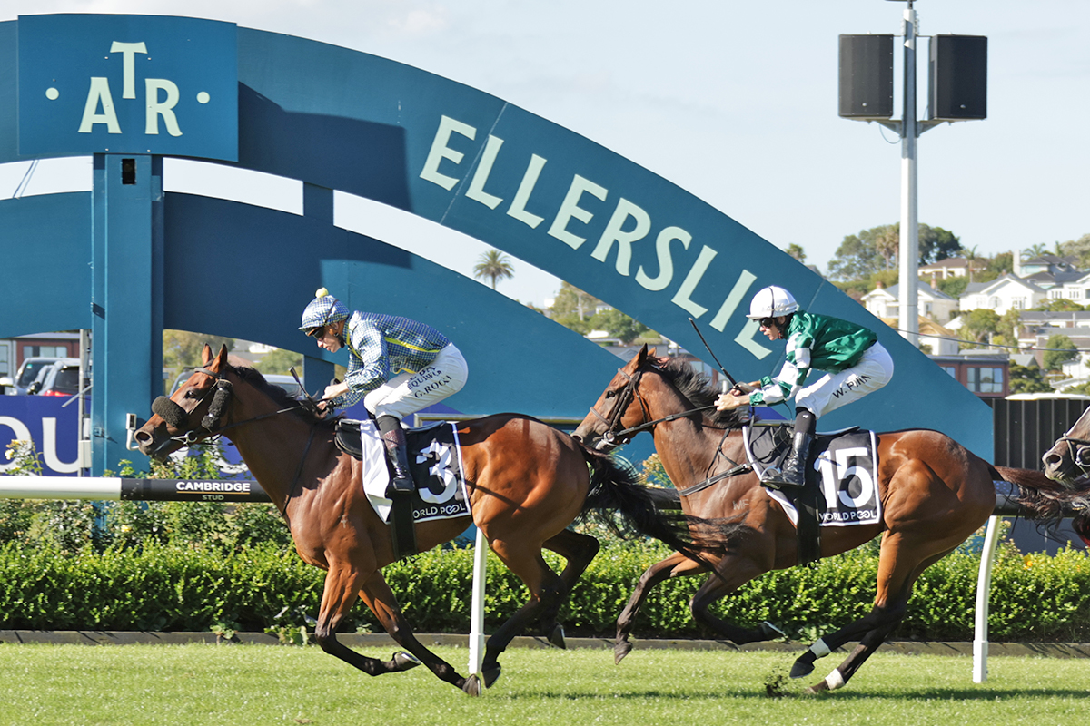 Jockey Comments | HKJC New Zealand Derby