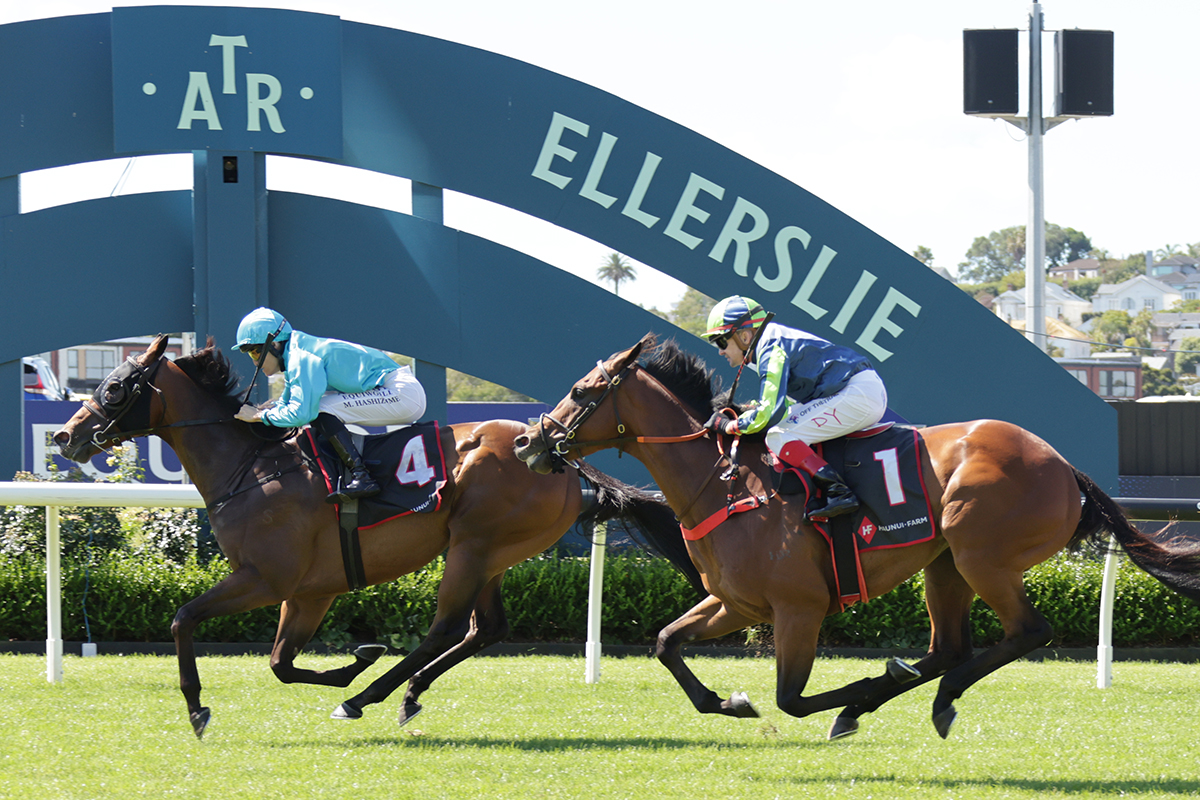 Jockey Comments | Haunui Farm Kings Plate